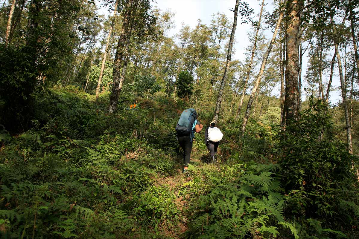 Trekking in Jungles of Khumai Danda trail